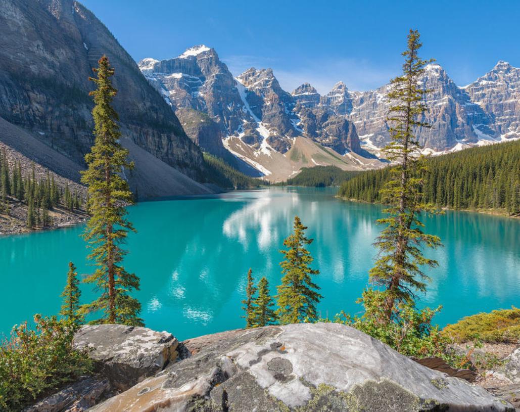 Untitled design - 2024-08-09T152657.835